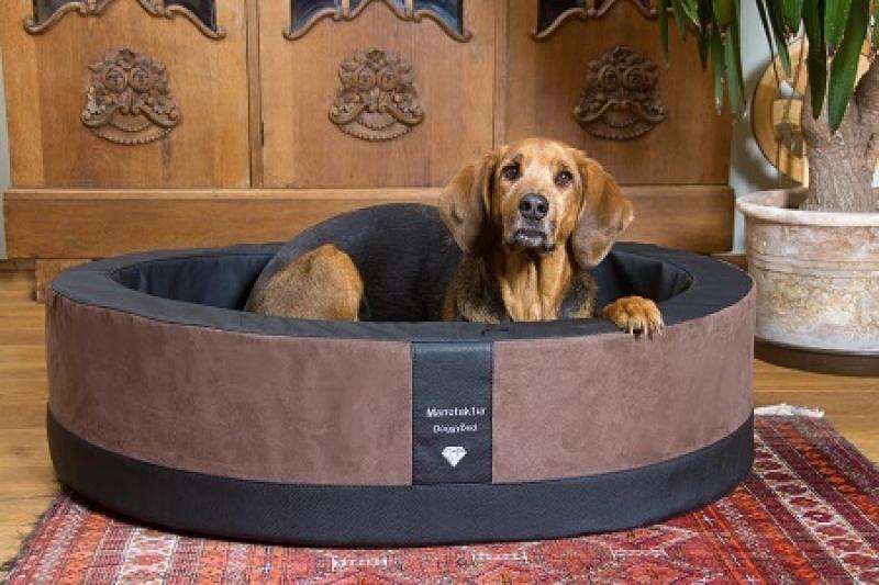 Hundekorb Paddy braun/schwarz mit Hund